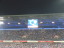 MSV Duisburg - VfL Bochum - photo